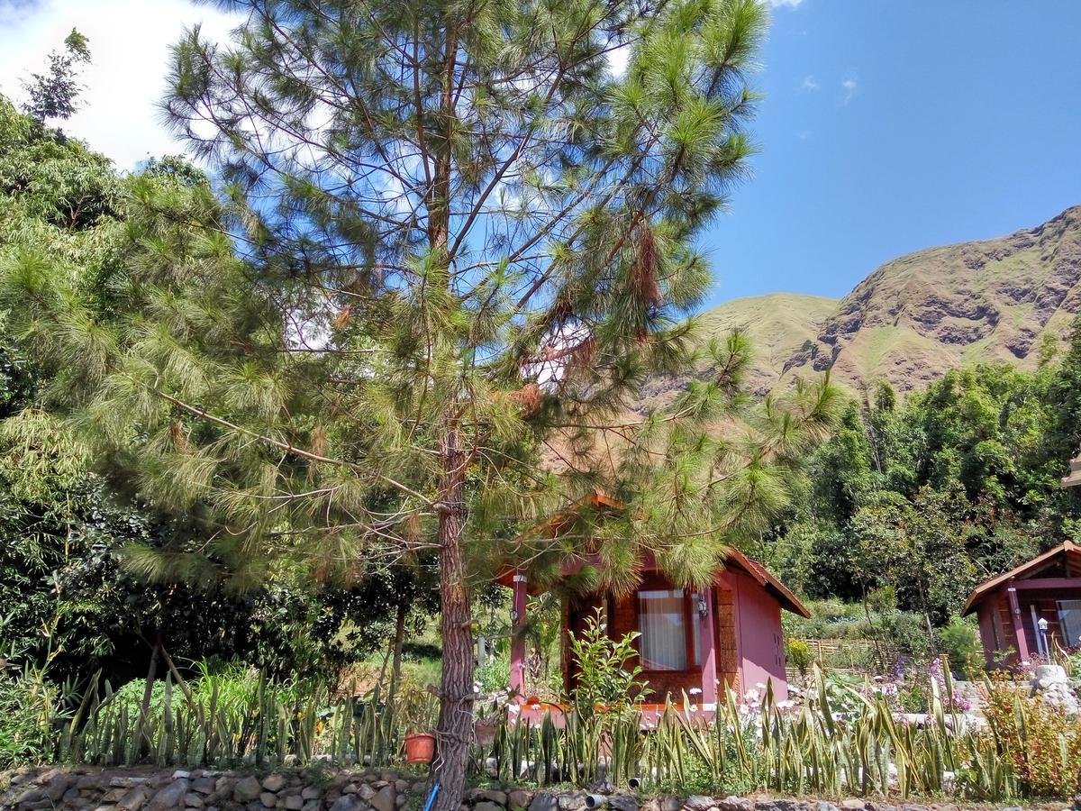 Sembalun Kita Cottage ซัมบาลัง ลาวัง ภายนอก รูปภาพ